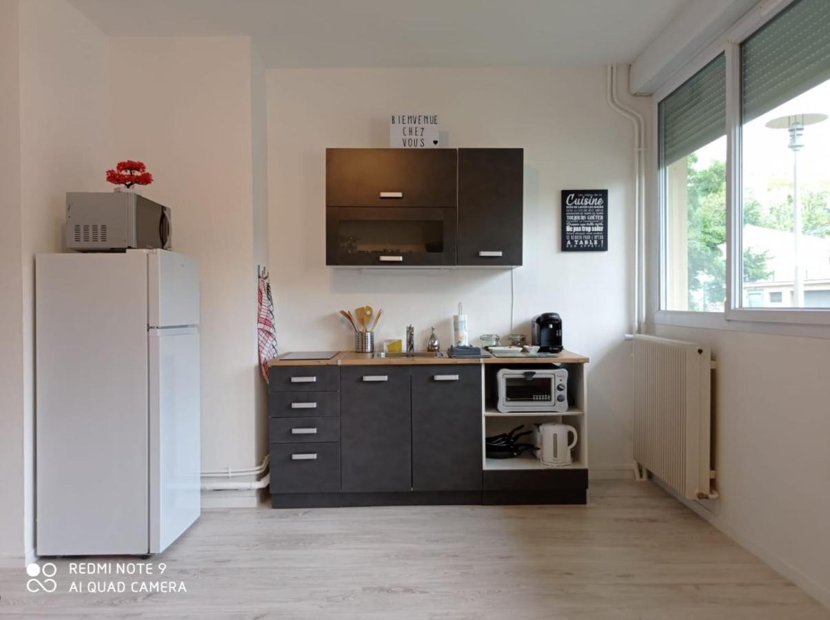 Appartement La Roseraie Parking Prive Mâcon Eksteriør billede