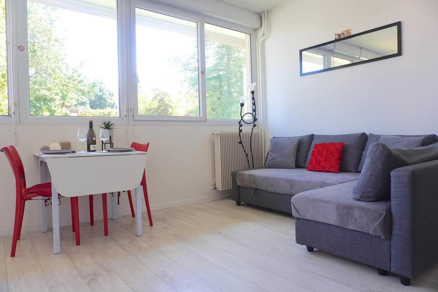 Appartement La Roseraie Parking Prive Mâcon Eksteriør billede